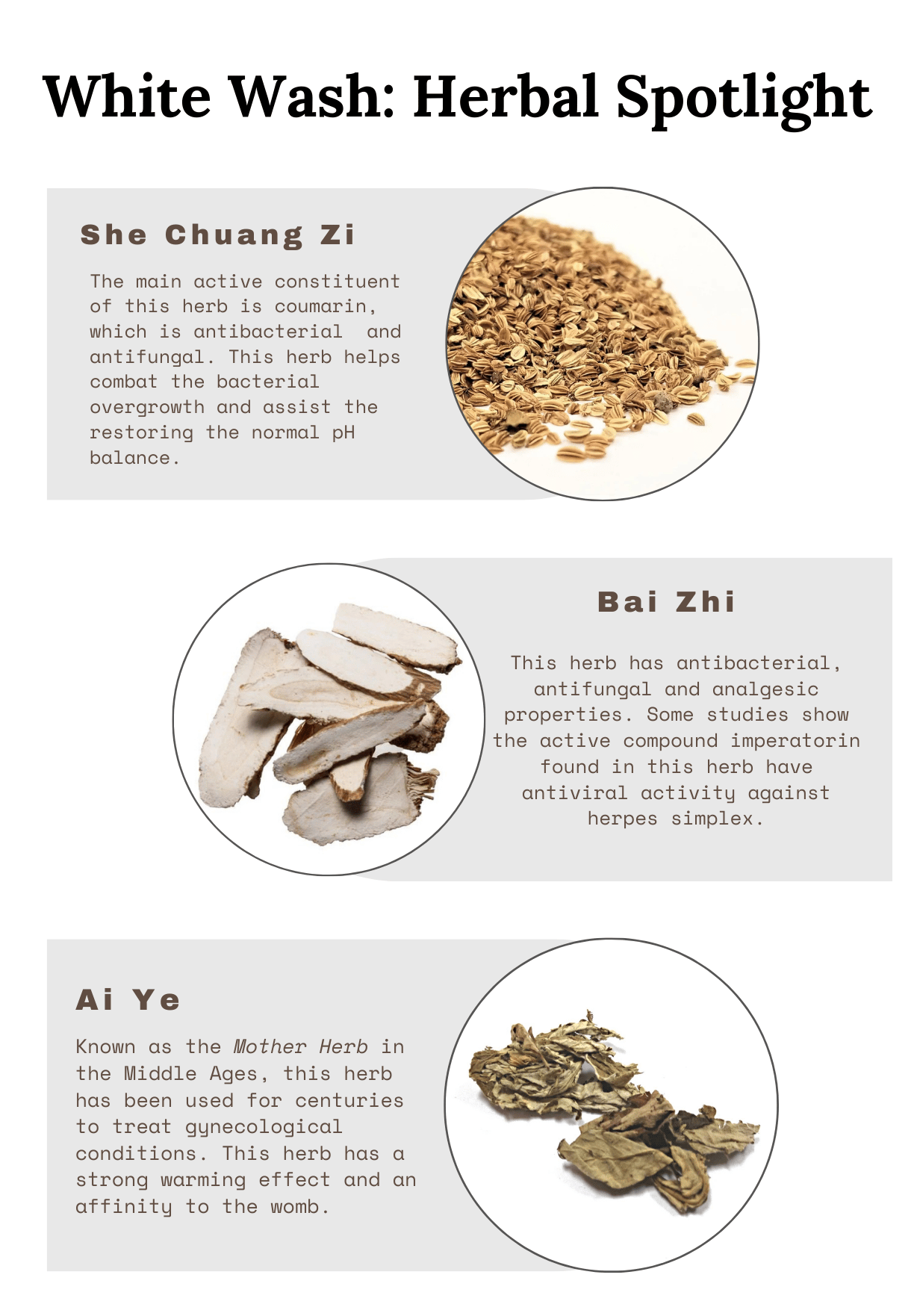 White Herbal Spotlight