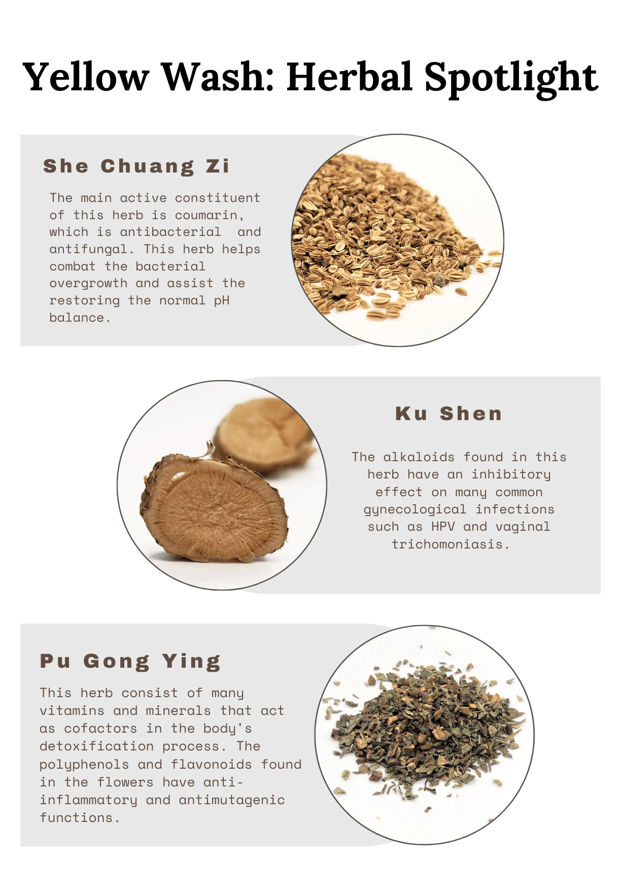 Yellow Herbal Spotlight