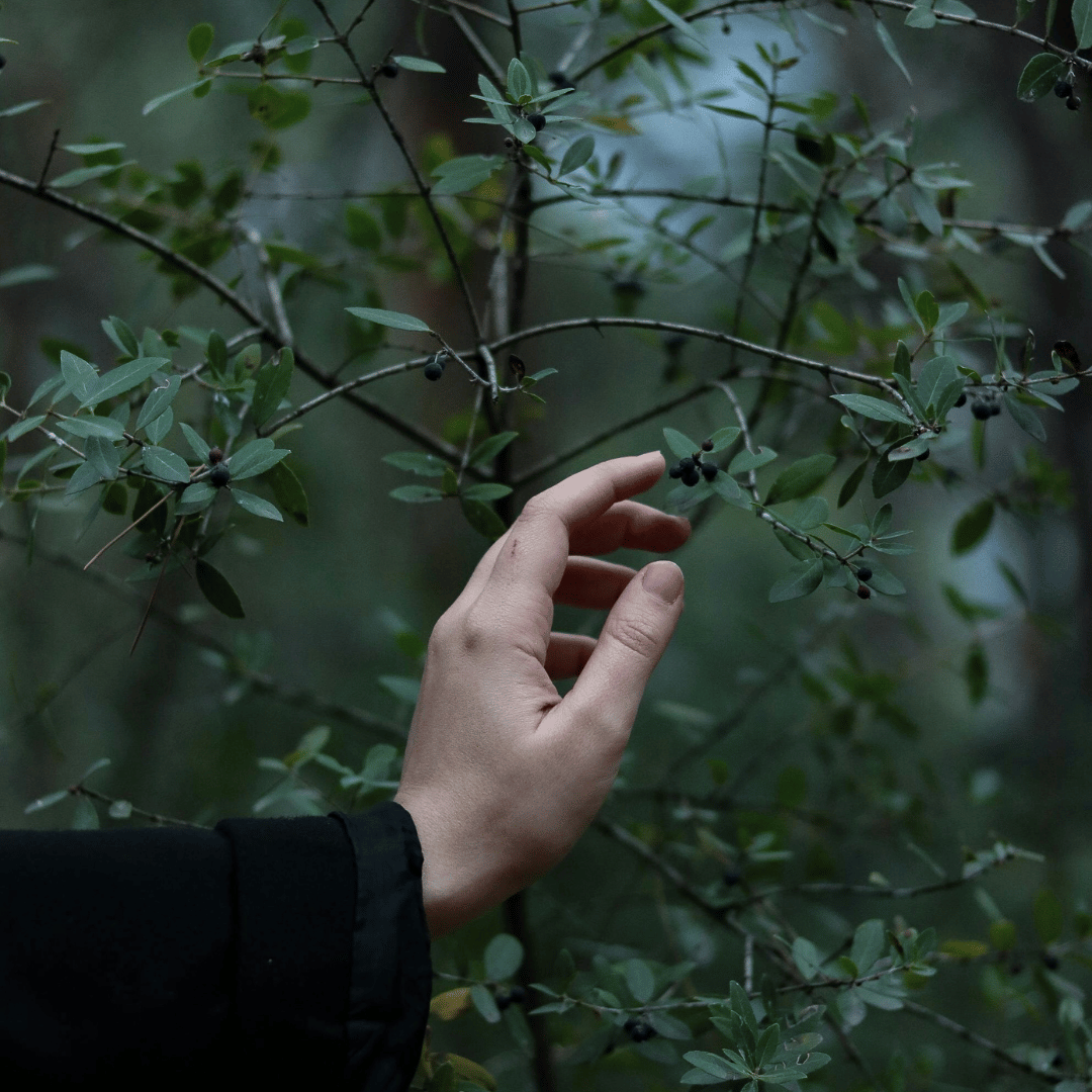 TCM Skin Care: Daniella's Mindful Approach to Soothing Eczema