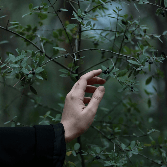 TCM Skin Care: Daniella's Mindful Approach to Soothing Eczema